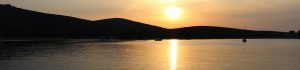 cropped-IMG_1802-1.jpg